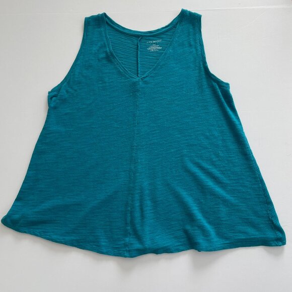 Lane Byant Sleeveless V-neck Swing Tunic Top Turquoise Size 14/16 - Picture 3 of 8